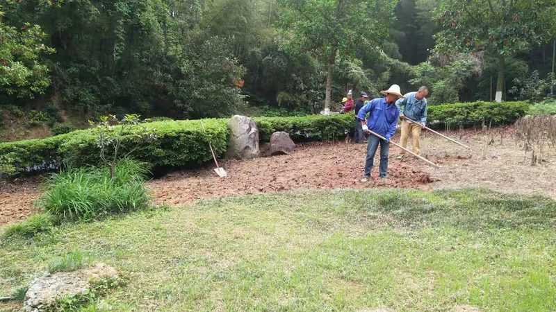 绿化工程报价明细表模板：关键要素与制作指南