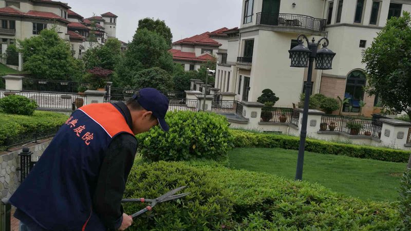 园林绿化资质续期，这些注意事项你不可不知**