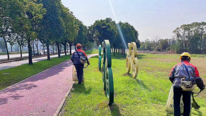 小区绿化植物规格尺寸：尺寸背后的科学考量