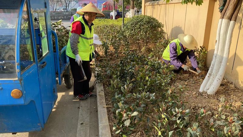 园林公司经营范围注意事项：规避风险，打造精品工程