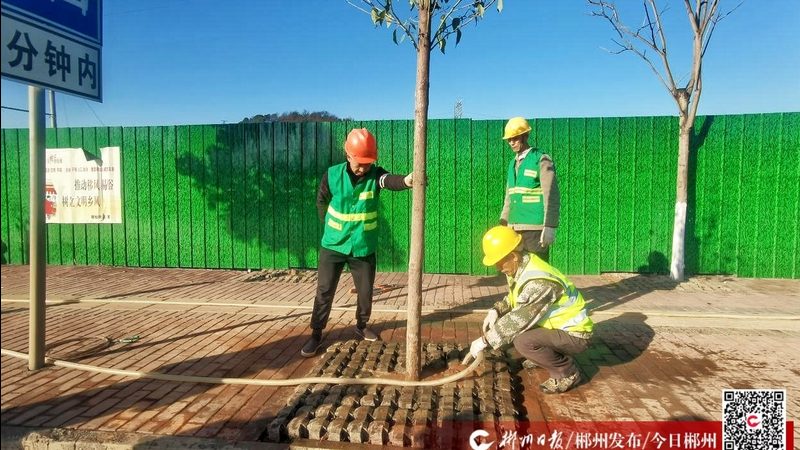 酒店园林绿化养护外包流程解析