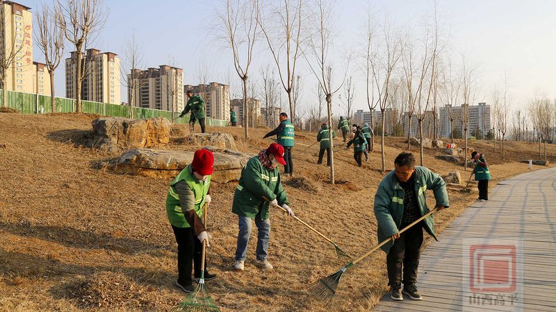 绿植租赁市场：如何选择性价比高的创业公司**