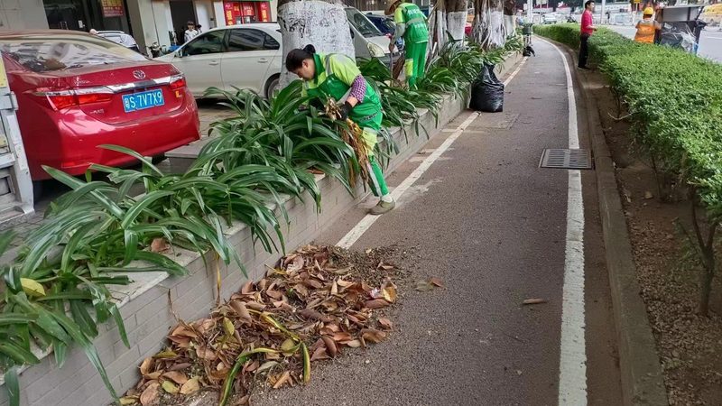 立体绿化自动灌溉系统：如何实现高效节水与养护