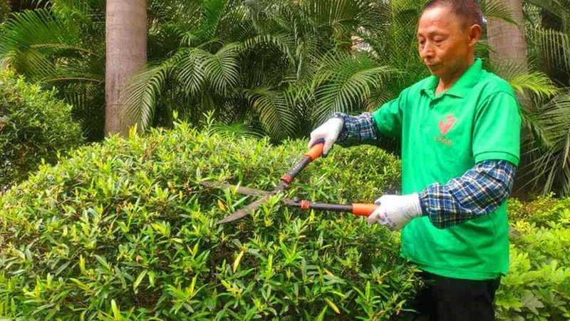小区园林景观绿化效果图制作的奥秘与技巧