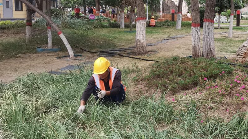 园林景观设计资质代办：揭秘资质代办公司排名背后的真相