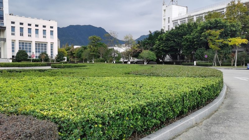 园林公司注册代办：揭秘流程与费用构成